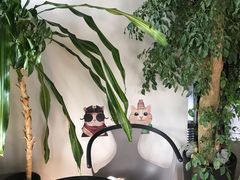 -东方名猫馆·英短金渐层布偶猫舍(环线广场1号楼店)