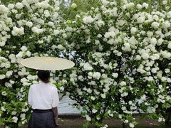-漕湖湿地公园