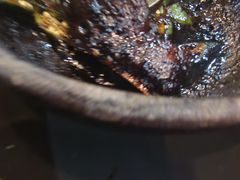 -兴记肉骨茶(甲洞大街第二新分店)