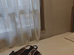 -龙禧盛精品酒店(天津西站店)