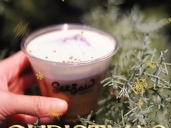 -Seesaw Coffee(88铜仁路店)