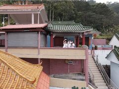 -风云岭森林公园