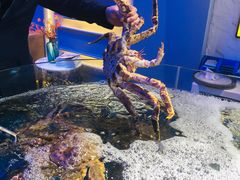 -蟹之国·精品蟹料理(极地店)