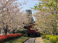 -新天地活力PARK