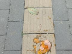 -金湖港式餐厅(建外店)