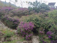 -广东天露山旅游度假区