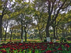 -上海鲜花港