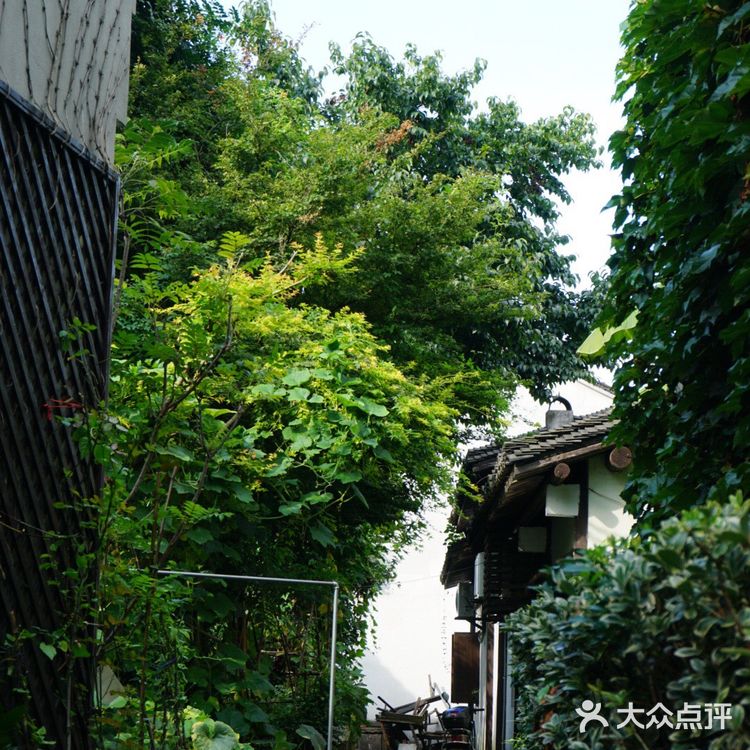 杭州小河直街一日游旅游攻略
