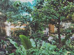 -Trung Nguyen Café Legend