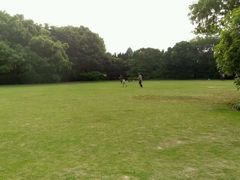 android_upload_pic-上海佘山国家森林公园西佘山园