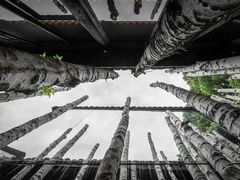 -Metal hands·铁手咖啡