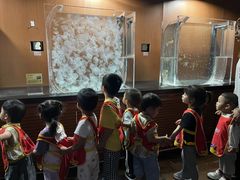 -全优加早教·托育(保利中悦校区)