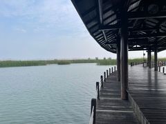 -苏州太湖湖滨国家湿地公园