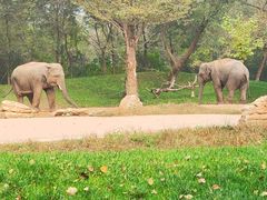 -北京野生动物园