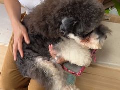 -宠福鑫康馨动物医院·骨科·眼科