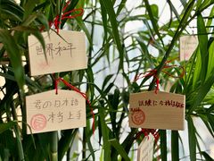 -帝京日语(春熙路旗舰校区)