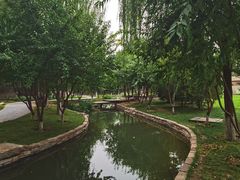 -春风习习