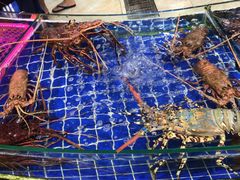 -三亚新鸿港水果一级批发市场