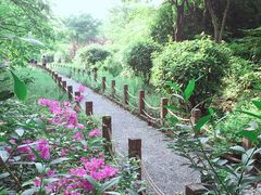 -新江湾城公园