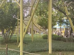 -张店儿童公园