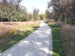 -昆山城市生态森林公园