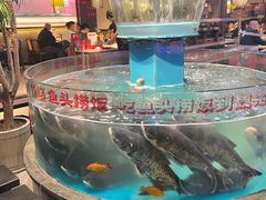 -魏铭鱼头捞饭(晋阳路店)