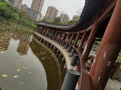 -龙头寺公园