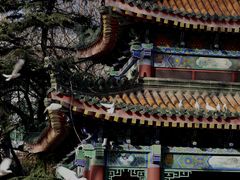 -西安大兴善寺