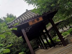 -黑龙江省森林植物园