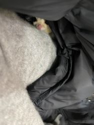 -Moni星球萌宠·小马宝莉·灵蛇·高端高阶全萌宠互动体验俱乐部(红豆国际广场店)