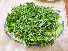 有机豌豆苗-清真马家美食城•海鲜•青岛菜•火锅(延安三路店)