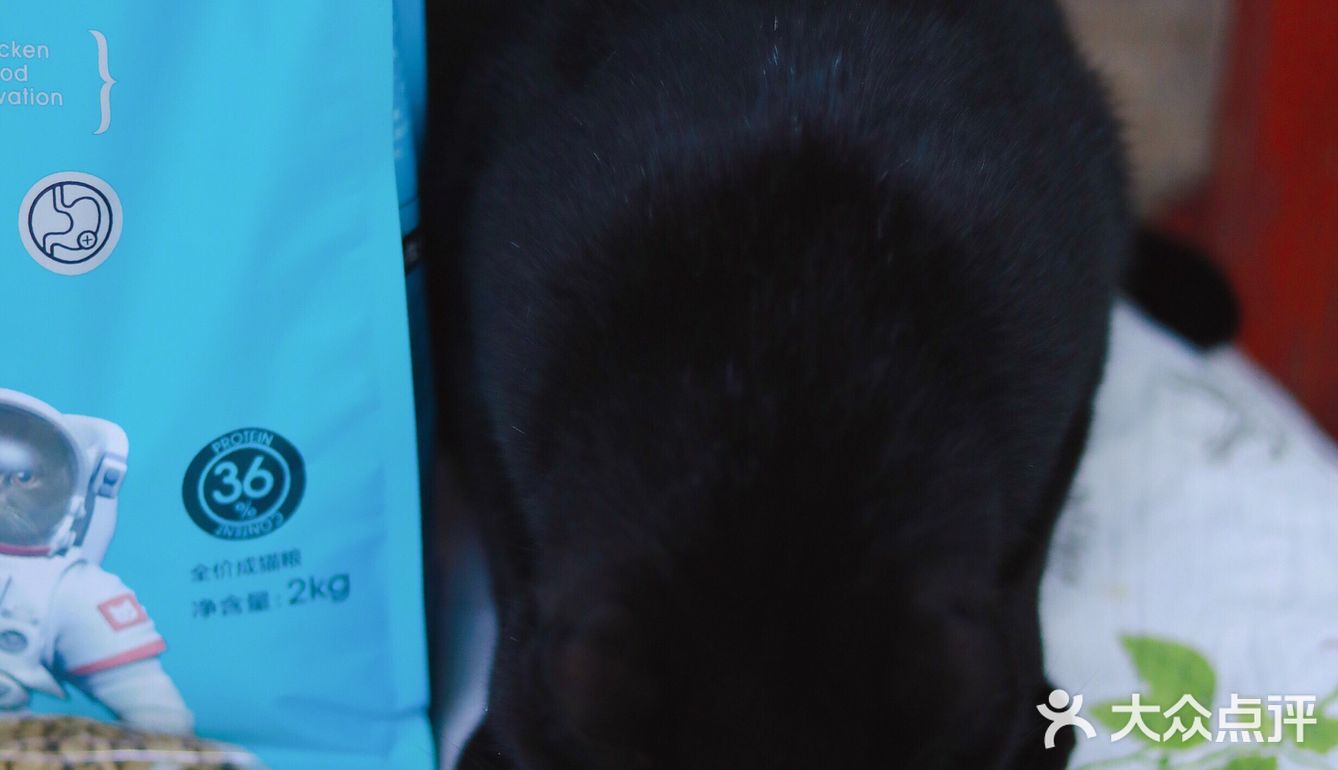 🐈养宠科普 | 国产网红猫粮评测报告！