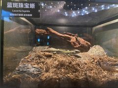 -太平洋海底世界