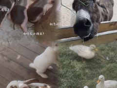 -HERRE·FARM 赫尔露营农场·团建聚会包场