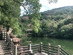 -白马涧龙池景区