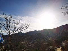 -北京鹫峰国家森林公园