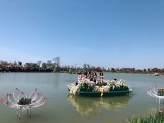 -荷兰花海
