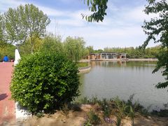 -大兴滨河森林公园