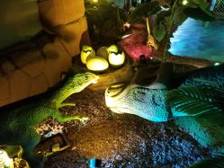 -恐龙探索乐园(磁器口店)