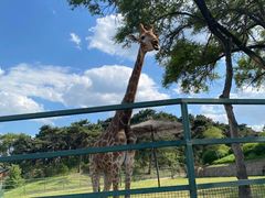 -沈阳森林动物园