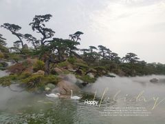 -罗红摄影艺术馆