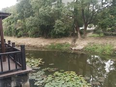 -西山人家·二十年老字号农家菜(旺山店)