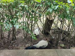 -黔灵山公园