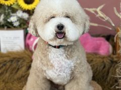 -喜洋洋宠物医院(震川路总店)