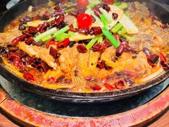 -老板恋上鱼(荣盛广场店)