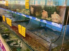 -坛南湾阿强农家乐.海鲜大排档老字号(福州地标美食店)