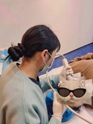 -Yestar 嘉兴艺星医疗美容医院