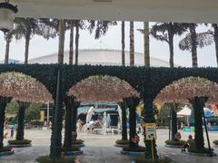 -海合安成都极地海洋公园