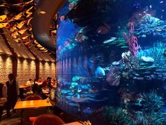 -迪拜帆船酒店海底餐厅