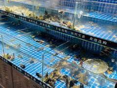 -星海汇海鲜烤肉火锅自助(二七广场百年德化店)